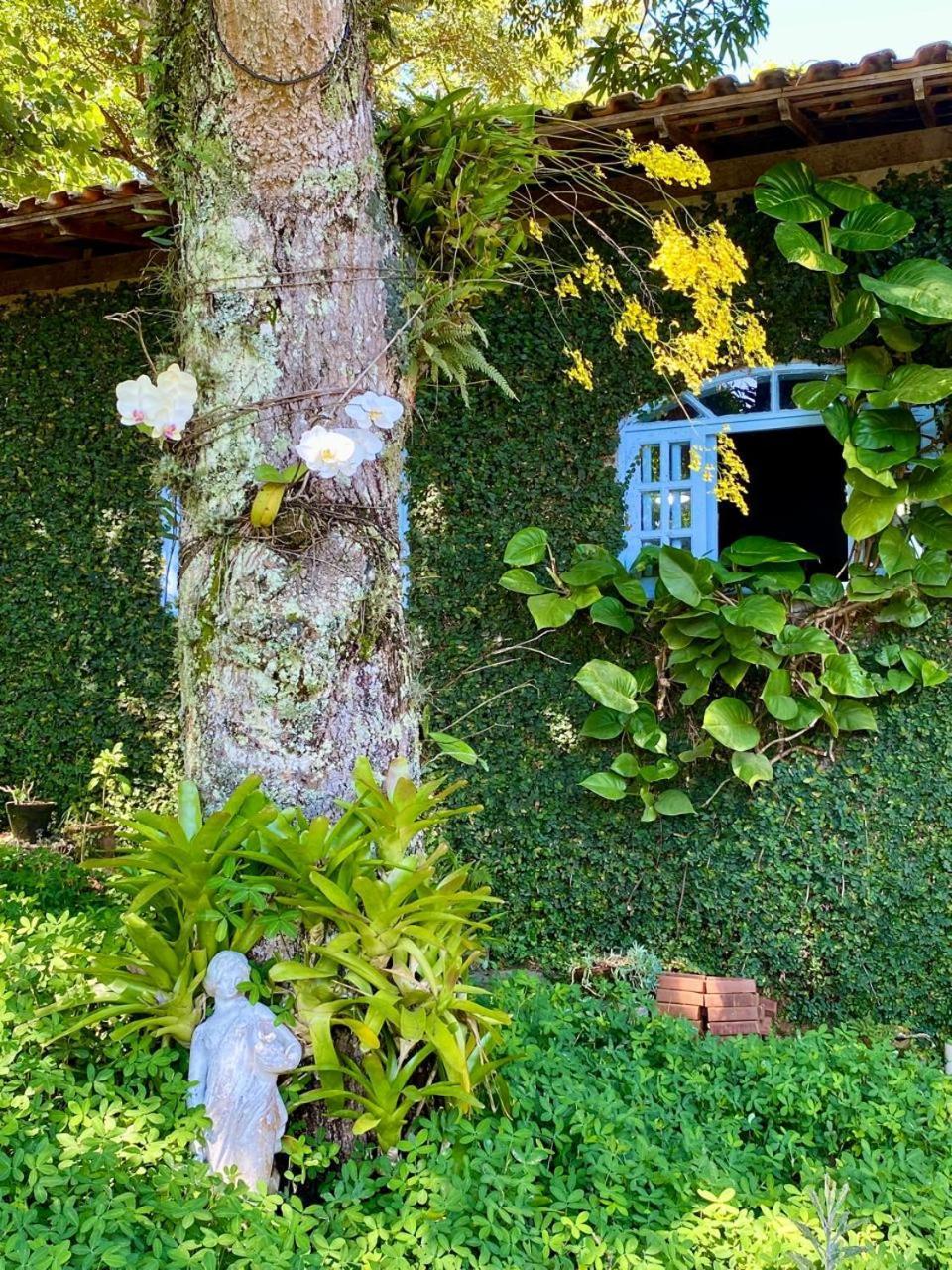 Pousada Casa Do Ipe Amarelo Miguel Pereira Exterior foto